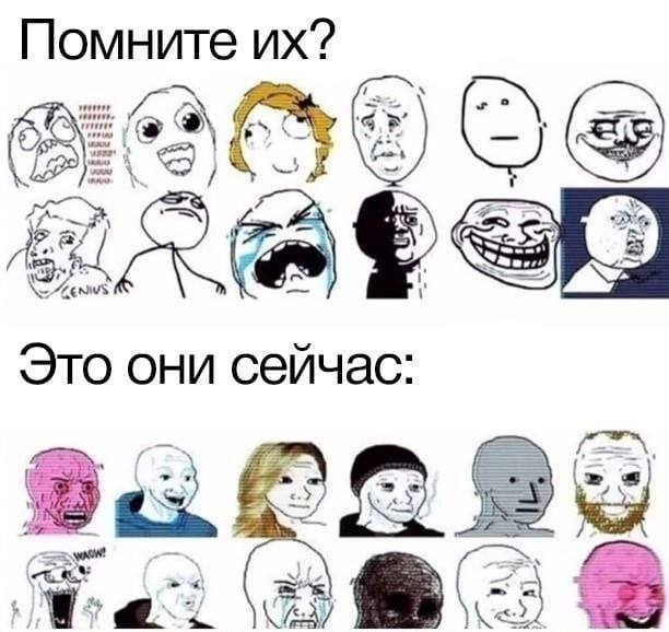 Помните BAAS Это они сейчас: