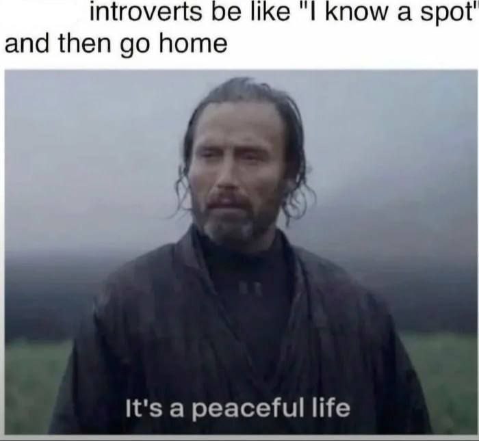 introverts ике now а spot and then home