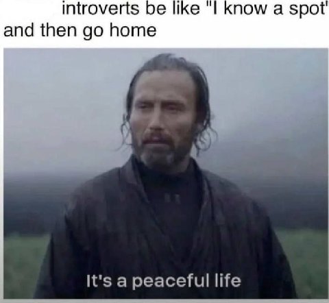 introverts ике now а spot and then home