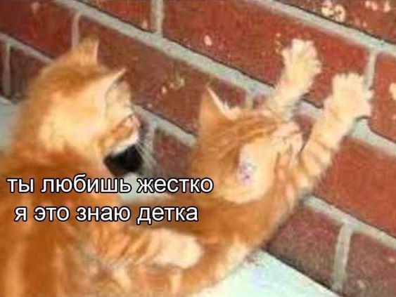 4 у ты любишьжестко я это знаю детка 20