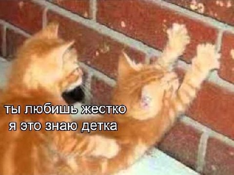 4 у ты любишьжестко я это знаю детка 20