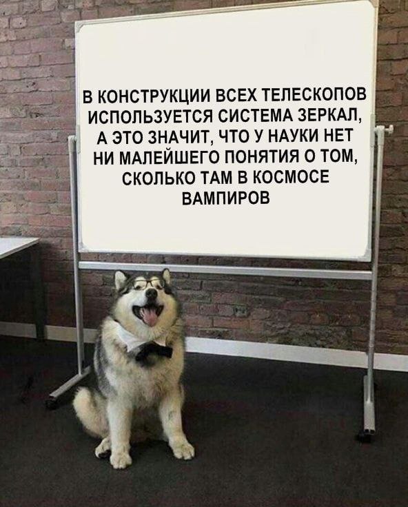 ВКОНСТРУКЦИИ ВСЕХ ТЕЛЕСКОПОВ ИСПОЛЬЗУЕТСЯ СИСТЕМА ЗЕРКАЛ, А ЭТО ЗНАЧИТ, ЧТО У НАУКИ HET НИМАЛЕЙШЕГО ПОНЯТИЯ О TOM, СКОЛЬКО ТАМ В КОСМОСЕ ВАМПИРОВ