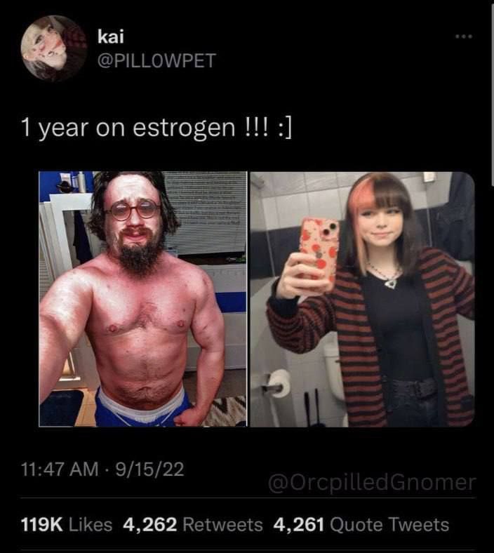 kai @PILLOWPET 1 year on estrogen iS 27 11:47 9/15/22 Likes 4,262 Retweets 4,261 Quote Tweets