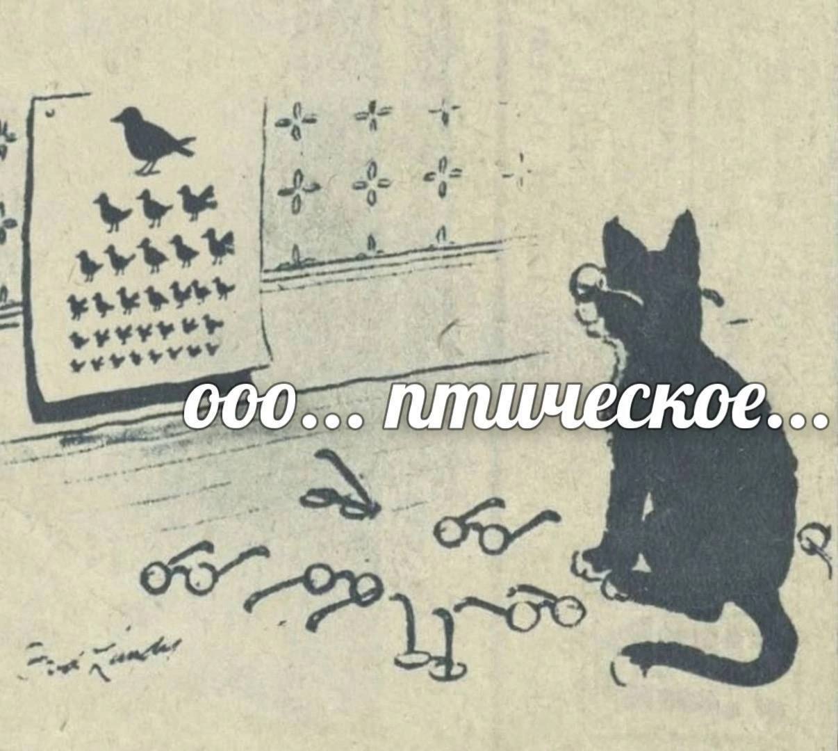 als 0. OOO DOO