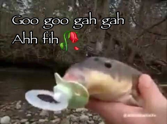 goo gah