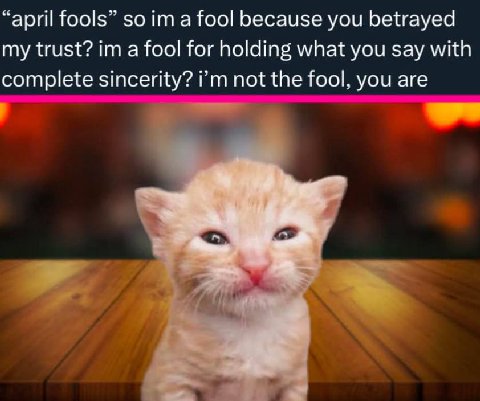 “april fools” so а fool because you betrayed my trust? a fool for holding what you say with complete sincerity? not the fool, you are