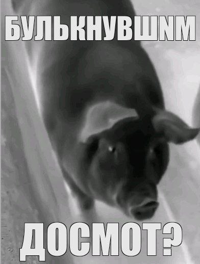 БУЛЬКНУВШ 0 MOT
