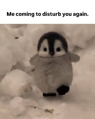 Me coming to disturb you again.