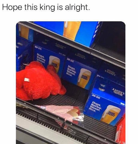 Hope this king is alright