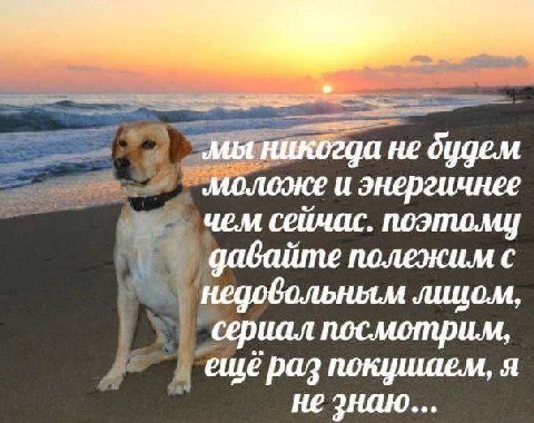 мы никогда не будем моложе и энергичнее чем сеичас. NOIMOMY давайте полежим с лицом, сериал посмотрим, ещё раз покушаем, я не знаю