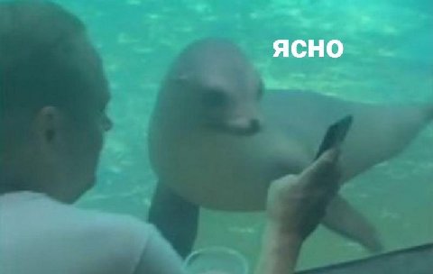ЯСНО
