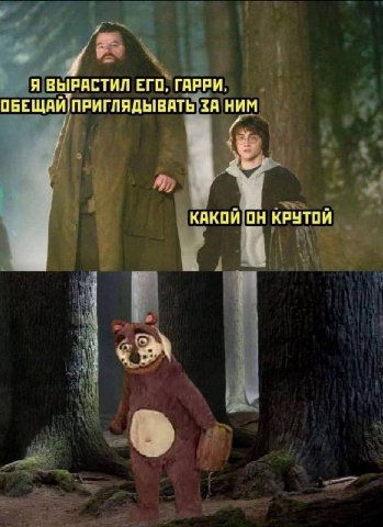A ВЫРАСТИЛ ЕГО, ГАРРИ. ЗА НИМ a КАКОЙ ОН КРУТОЙ
