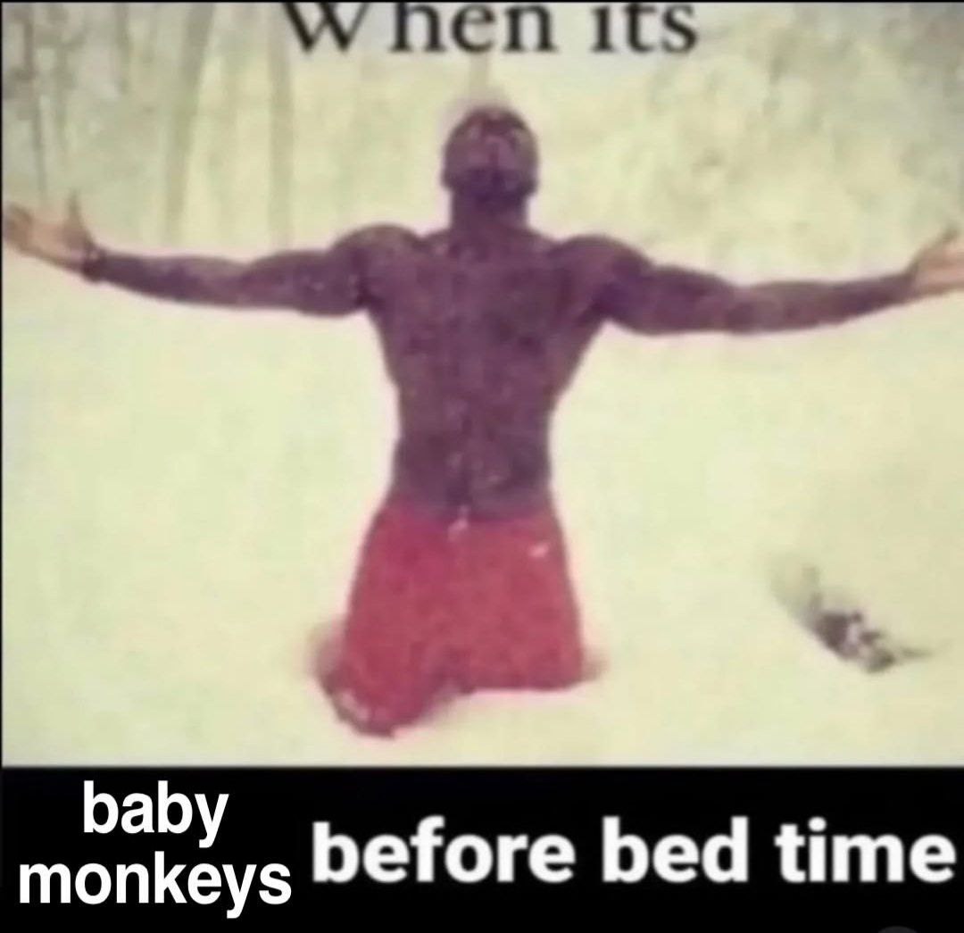 \A/ its baby monkeys before bed time