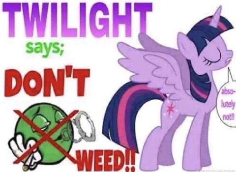 TWILIG DON'T