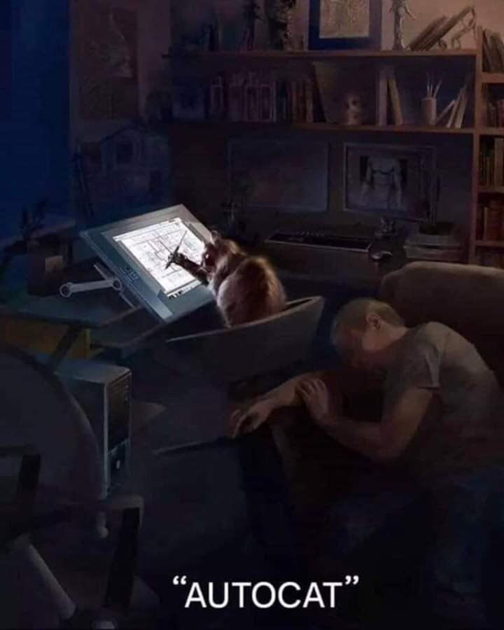 “AUTOCAT”