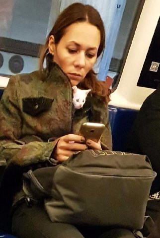 1 и A 4 1 А я 7 С, у Я