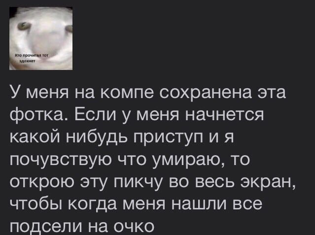 У меня на компе сохранена эта фотка. Если у меня начнется какой нибудь приступ и я почувствую что умираю, то открою эту пикчу во весь экран, чтобы когда меня нашли все подсели на очко
