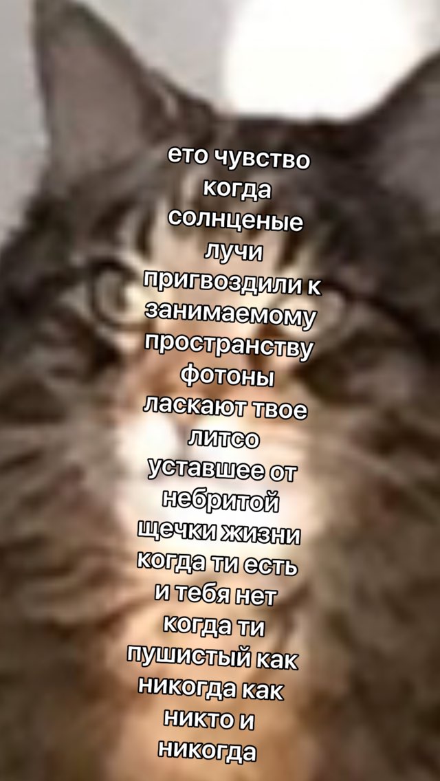 ето чувство когда солнценые лучи пригвоздили К занимаемой” пространству фотоны уставше от, и как никогда как никто и никогда