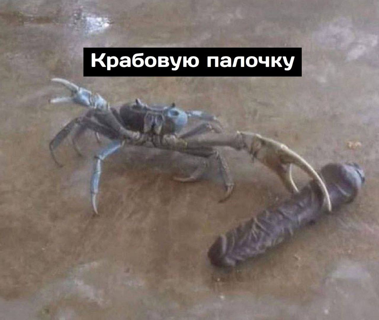 Крабовую палочку