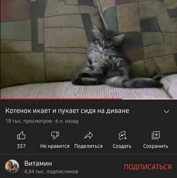 мой любимый тип мемов