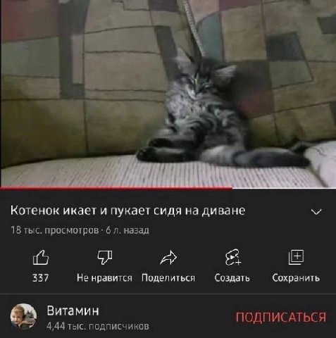 мой любимый тип мемов