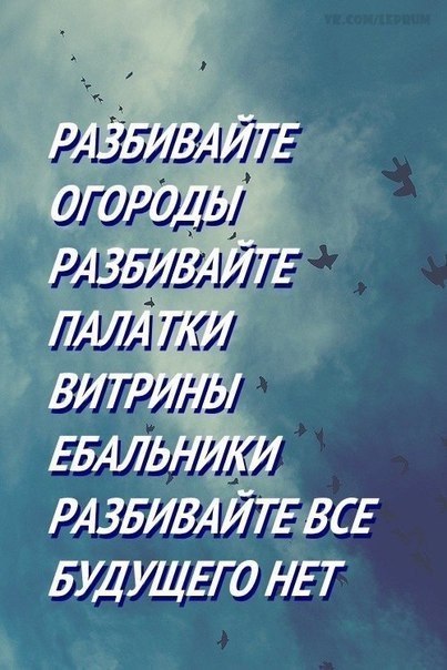 РАЗБИВАЙТЕ ОГОРОДЫ РАЗБИВАЙТЕ ПАЛАТКИ ВИТРИНЫ ЕБАЛЬНИКИ РАЗБИВАЙТЕ ВСЕ БУДУЩЕГО НЕТ