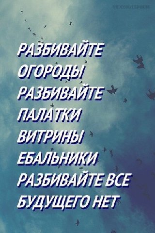 РАЗБИВАЙТЕ ОГОРОДЫ РАЗБИВАЙТЕ ПАЛАТКИ ВИТРИНЫ ЕБАЛЬНИКИ РАЗБИВАЙТЕ ВСЕ БУДУЩЕГО НЕТ