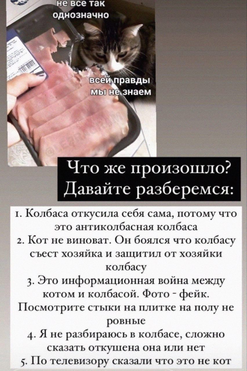 не все так однозначно правды Что же произошло? Давайте разберемся: 1. Колбаса откусила себя сама, потому что это антиколбасная колбаса 2. Кот не виноват. Он боялся что колбасу съест хозяйка и защитил 