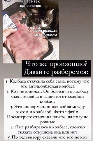 не все так однозначно правды Что же произошло? Давайте разберемся: 1. Колбаса откусила себя сама, потому что это антиколбасная колбаса 2. Кот не виноват. Он боялся что колбасу съест хозяйка и защитил 