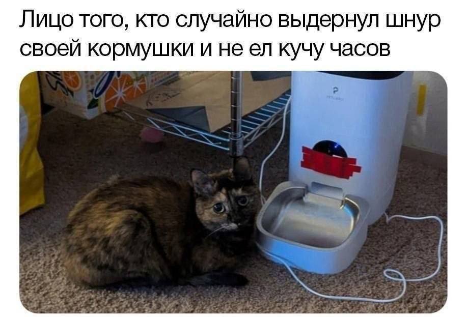 Когда на эмоциях уволился с завода