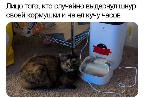 Когда на эмоциях уволился с завода