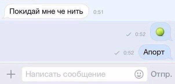 Покидай мне че нить 2 Апорт Отпр