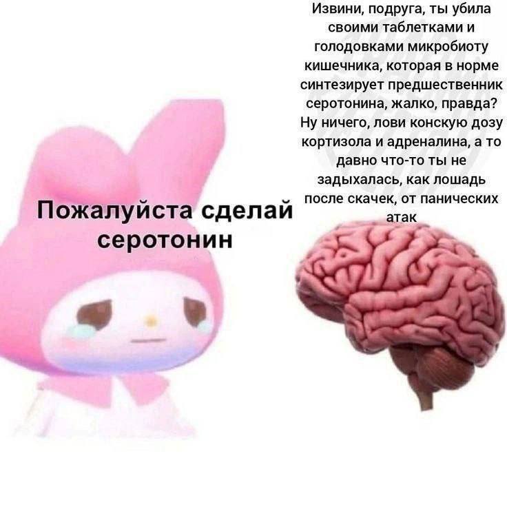 Извини, подруга, ты убила своими таблетками и голодовками микробиоту кишечника, которая в норме синтезирует предшественник серотонина, жалко, правда? Ну ничего, лови конскую дозу кортизола и адреналин