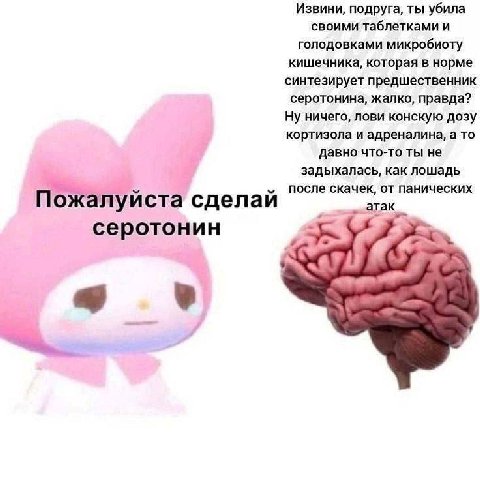Извини, подруга, ты убила своими таблетками и голодовками микробиоту кишечника, которая в норме синтезирует предшественник серотонина, жалко, правда? Ну ничего, лови конскую дозу кортизола и адреналин