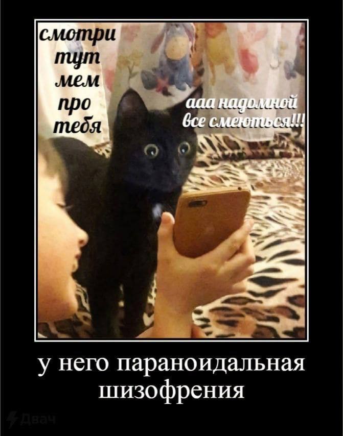 смотри MEM ait. про тебя о у него параноидальная шизофрения