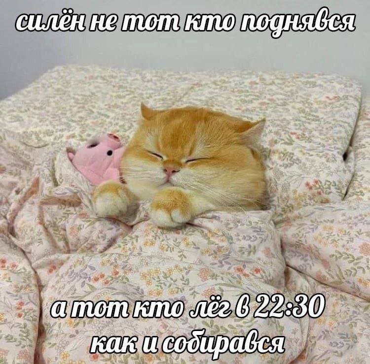силён не тот кто В Be я` 7