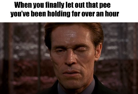 When you finally let out that pee you've been holding for over an hour