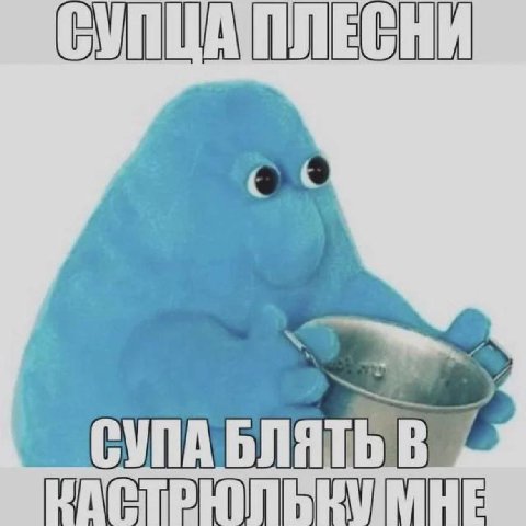 ПЛЕСНИ vel