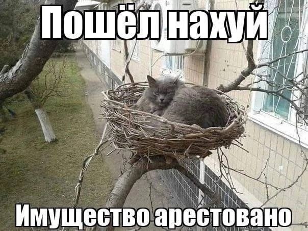 Пошел у Имущество арестовано
