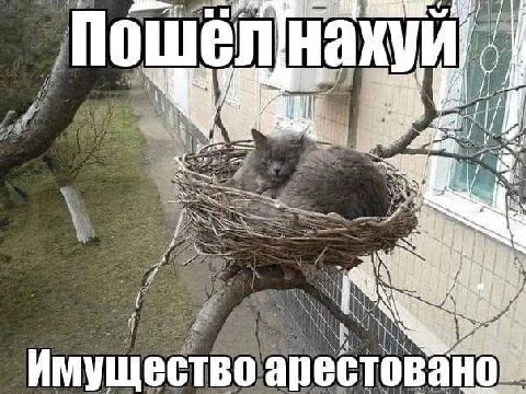 Пошел у Имущество арестовано