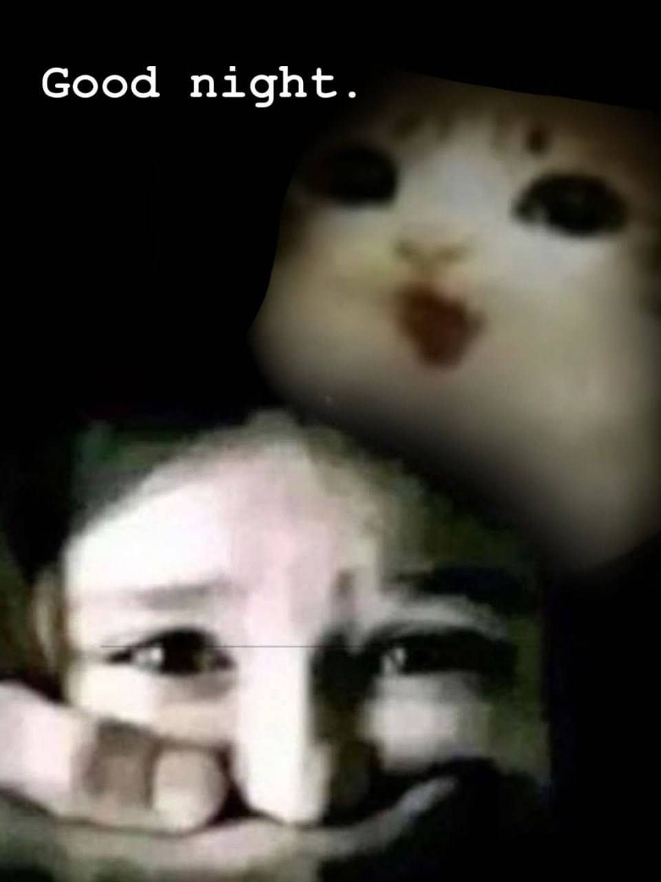 Good night.