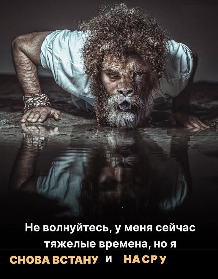43 Не волнуйтесь, у меня сейчас тяжелые времена, ноя СНОВА ВСТАНУ И НАСРУ
