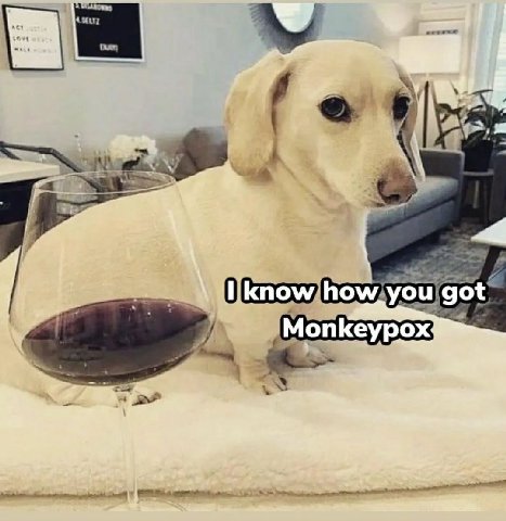 I know how you got Monkeypox