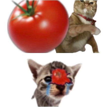 > yf