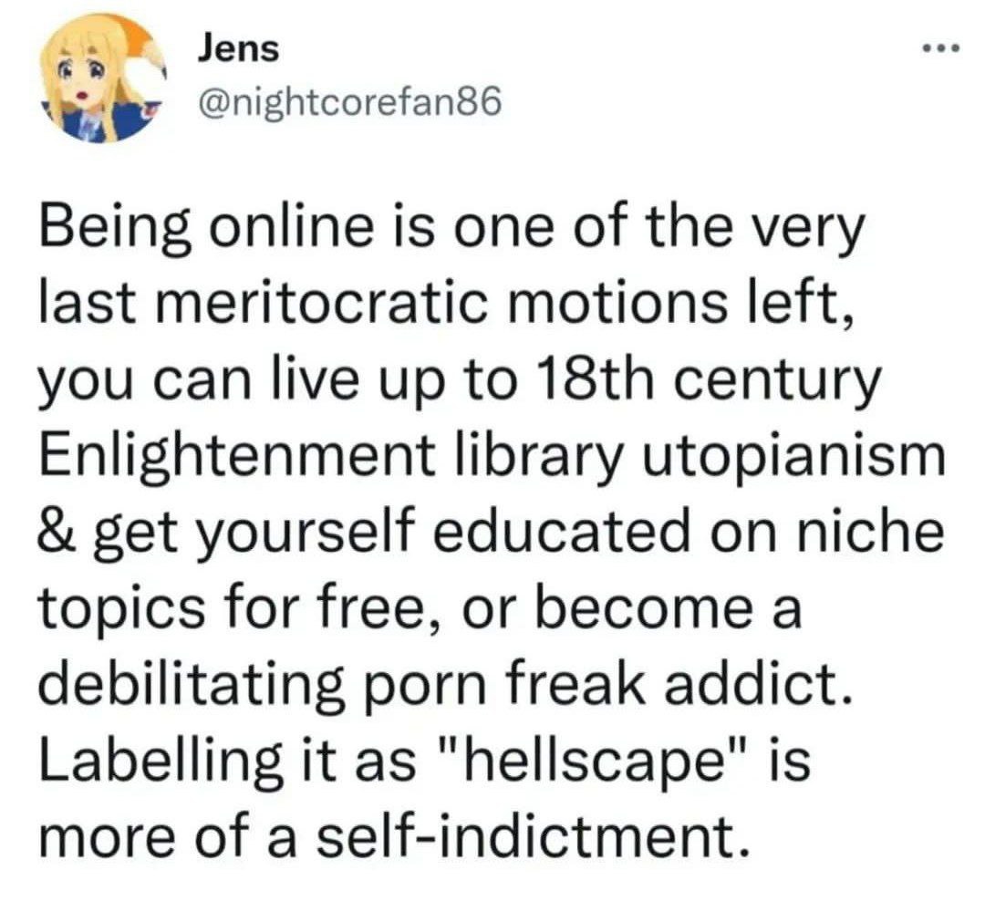 Jens @nightcorefan86 Being online is one of the very last meritocratic motions left, you can live up to century Enlightenment library utopianism get yourself educated on niche topics for free, or beco