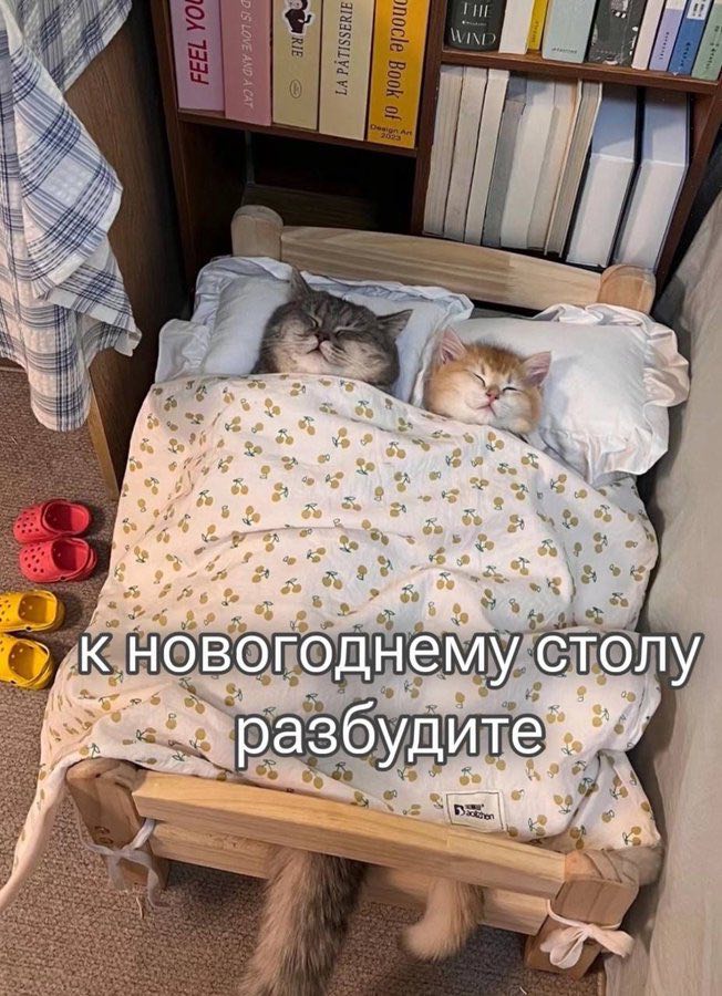 eit К: новогоднему столу ute