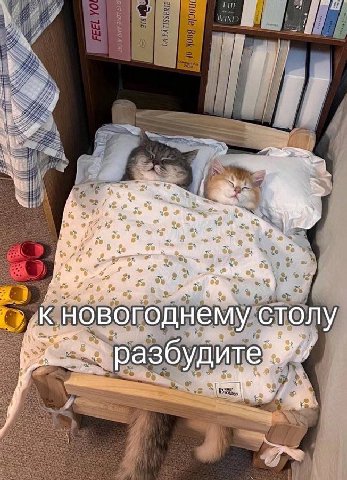 eit К: новогоднему столу ute