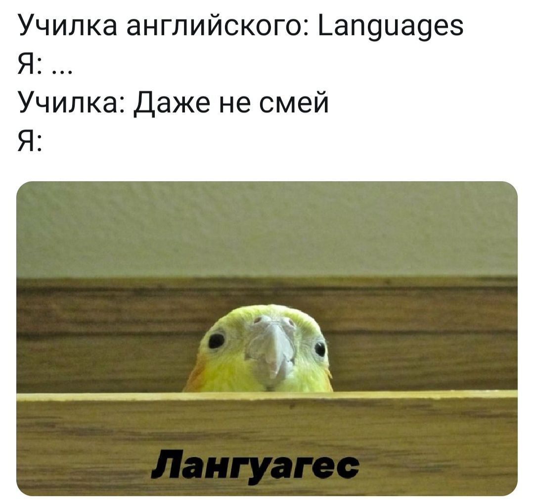 Училка английского: Languages Я Училка: Даже не смей Я