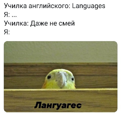 Училка английского: Languages Я Училка: Даже не смей Я