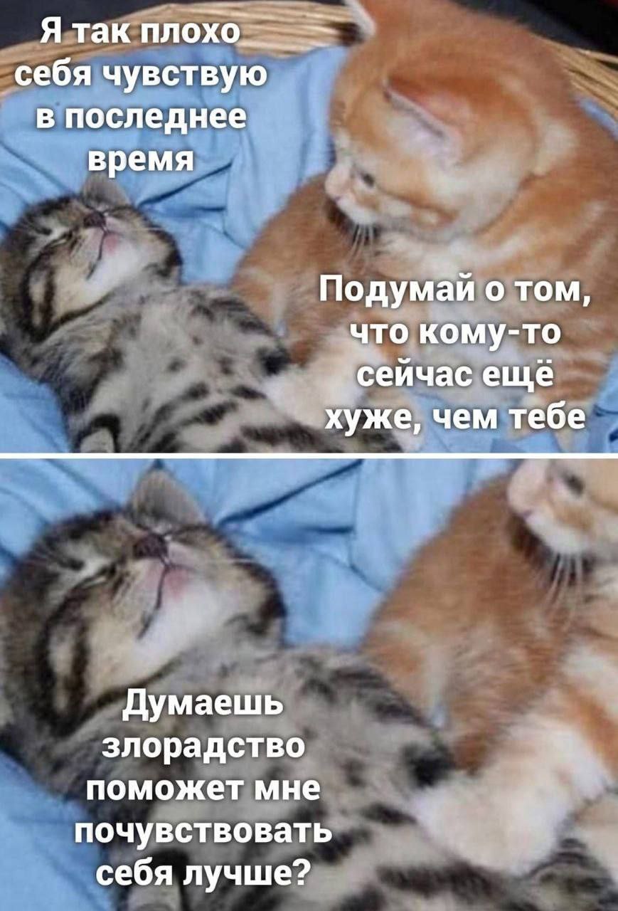 Я так плохо. себя чувствую в последнее время Подумаи о том, что кому-то сейчас ещё хуже, чем тебе Думаешь злорадство поможет мне почувствовать себя лучше?